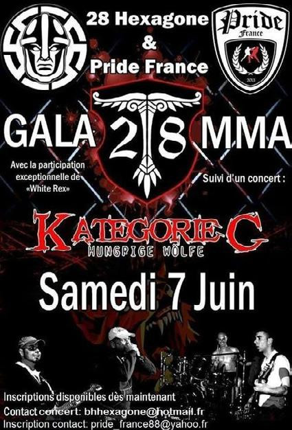Plakat für eine Kampfsportveranstaltung mit anschließenden Konzert, die von der französischen Blood & Honour-Struktur 28 Hexagone im Jahr 2014 ausgerichtet wurde. Beteiligt waren u.a. die Band Kategorie C - Hungrige Wölfe und White Rex.
