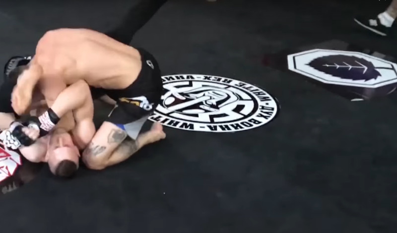 Die Logos von White Rex und Kampf der Nibelungen bei einer neonazistischen Kampfsportveranstaltung am 10.06.2017 in Frankreich. Bis 2018 richteten Kampf der Nibelungen und White Rex gemeinsame Veranstaltungen aus. Die Kooperation endete 2019, ein Grund ist ein Streit um die Aufteilung der Gewinne.