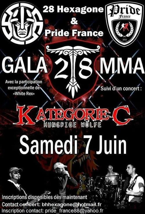 Plakat für eine Kampfsportveranstaltung mit anschließenden Konzert, ausgerichtet von der französischen Blood & Honour-Struktur 28 Hexagone im Jahr 2014. Es spielte u.a. die Band Kategorie C - Hungrige Wölfe.