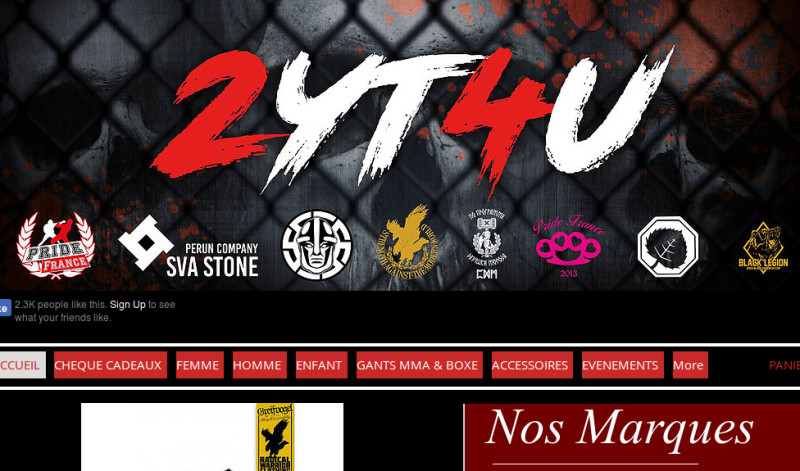 Der Versand 2YT4U wird vom Kreis von Pride France betrieben – einer neonazistischen Kampfsportgruppe, zugleich einer Kampfsportmarke, die dem französischen Blood & Honour-Netzwerk zugehört. 2YT4U bewirbt und vertreibt Kleidung und Sportausrüstung verschiedener Unternehmen, die in der Ausrichtung und Vermarktung von neonazistischen Kampfsport-Veranstaltungen europaweit vernetzt sind, u.a.: Greifvogel Wear (Dresden), Black Legion (Cottbus), Pride France (Frankreich), Sva Stone - Perun Company (Ukraine), PPDM – Father Frost Mode (Russland), White Rex (Russland).