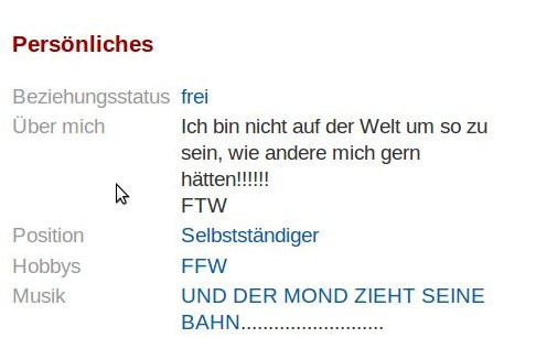 Die Person schreibt bei Lieblingsmusik »Und der Mond zieht seine Bahn ...«. Sie zitiert damit aus dem Refrain des »Klan-Songs« der neonazistischen Band Landser. Der Liedtext lautet weiter »... über‘m Reich des Ku Klux Klan«. Damit gibt sich die Person mit sechs unverfänglich erscheinenden Worten für Eingeweihte als Fan von Landser und Sympathisant des Ku Klux Klan zu erkennen.
